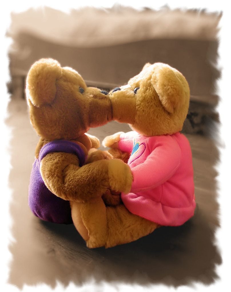Plush Bear